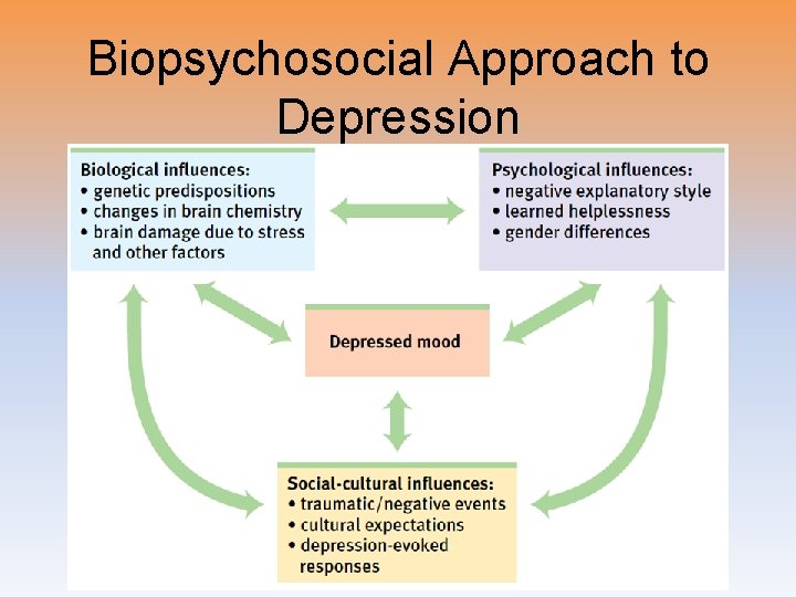 Biopsychosocial Approach to Depression 
