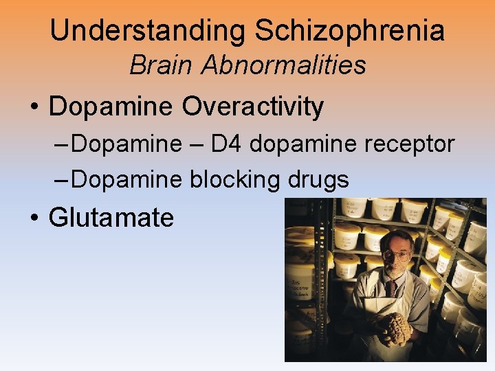 Understanding Schizophrenia Brain Abnormalities • Dopamine Overactivity – Dopamine – D 4 dopamine receptor