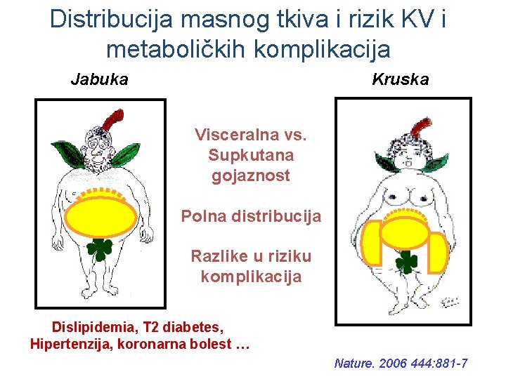 Distribucija masnog tkiva i rizik KV i metaboličkih komplikacija Jabuka Kruska Visceralna vs. Supkutana
