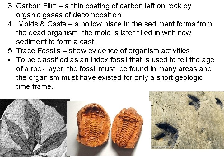 3. Carbon Film – a thin coating of carbon left on rock by organic