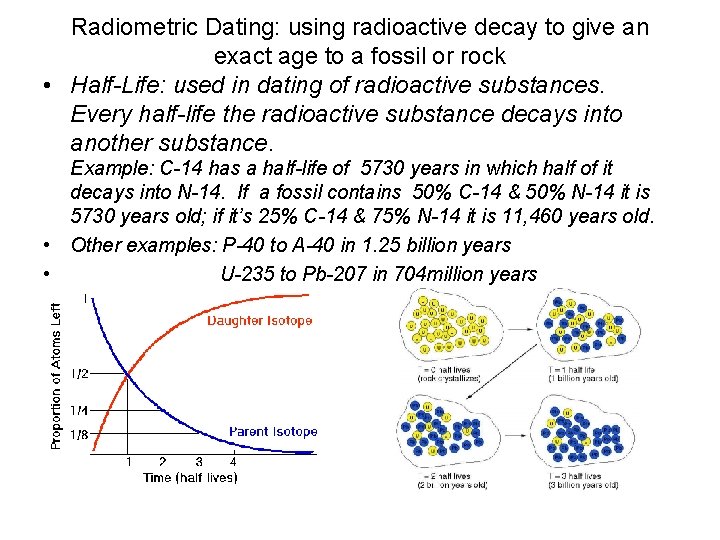 Radiometric Dating: using radioactive decay to give an exact age to a fossil or