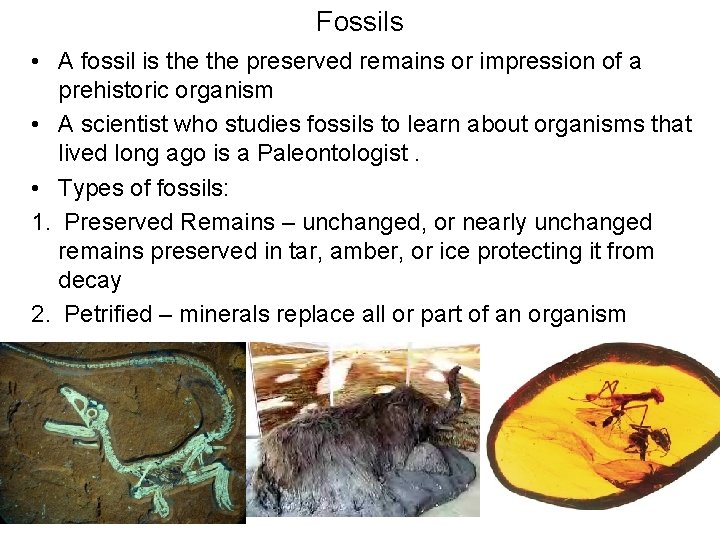 Fossils • A fossil is the preserved remains or impression of a prehistoric organism