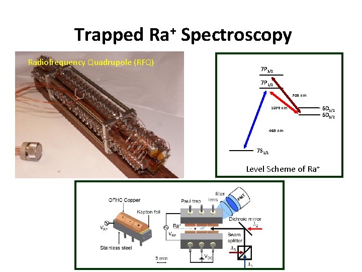Trapped Ra+ Spectroscopy Radiofrequency Quadrupole (RFQ) 7 P 3/2 7 P 1/2 708 nm