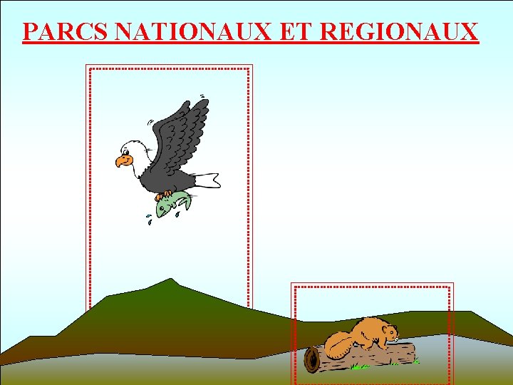 PARCS NATIONAUX ET REGIONAUX 61 