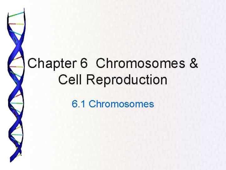 Chapter 6 Chromosomes & Cell Reproduction 6. 1 Chromosomes 