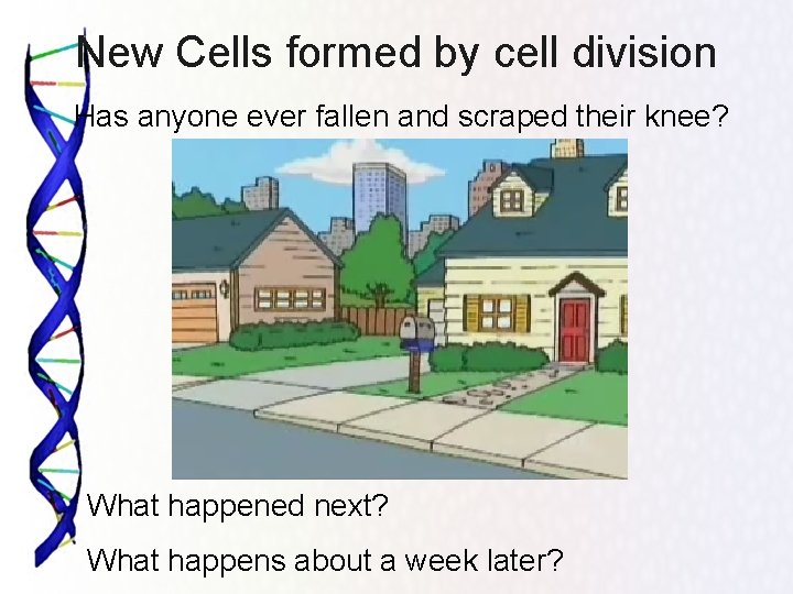 New Cells formed by cell division Has anyone ever fallen and scraped their knee?