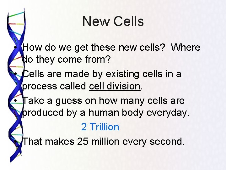 New Cells • How do we get these new cells? Where do they come