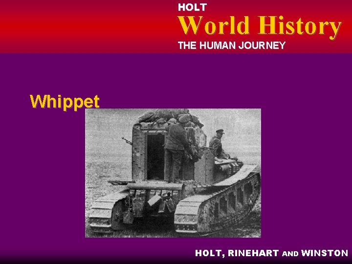 HOLT World History THE HUMAN JOURNEY Whippet HOLT, RINEHART AND WINSTON 