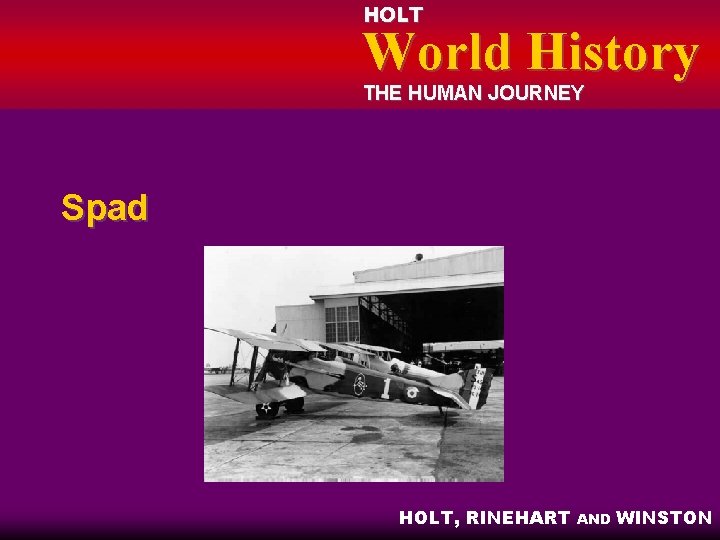 HOLT World History THE HUMAN JOURNEY Spad HOLT, RINEHART AND WINSTON 