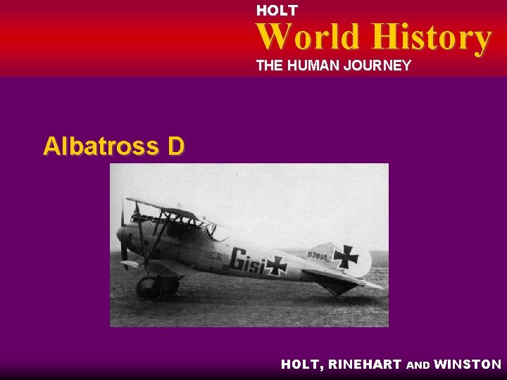 HOLT World History THE HUMAN JOURNEY Albatross D HOLT, RINEHART AND WINSTON 