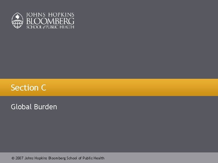 Section C Global Burden 2007 Johns Hopkins Bloomberg School of Public Health 