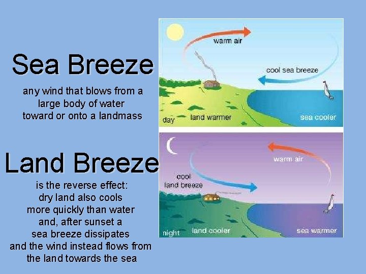 Sea Breeze any wind that blows from a large body of water toward or