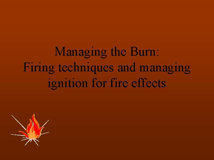 Managing the Burn: Firing techniques and managing ignition for fire effects 
