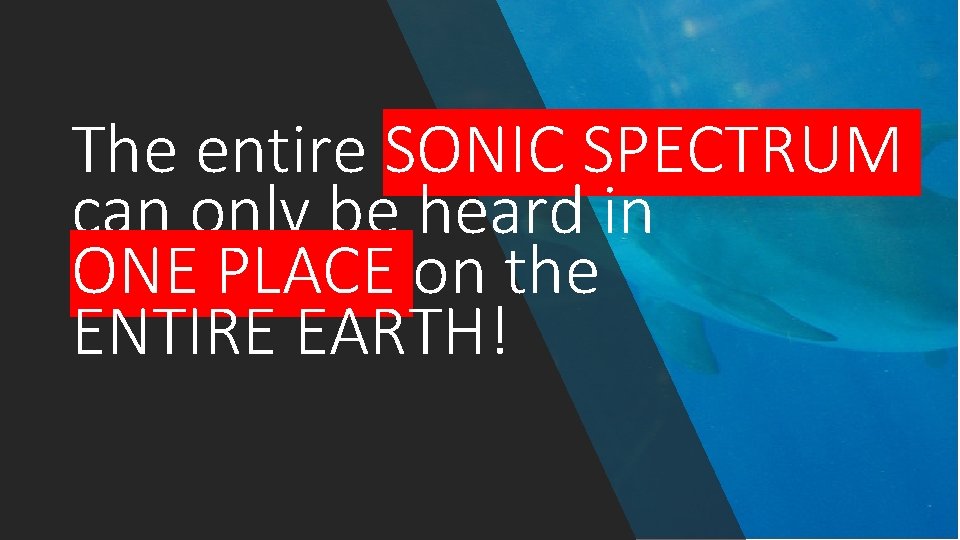 The entire SONIC SPECTRUM can only be heard in ONE PLACE on the ENTIRE