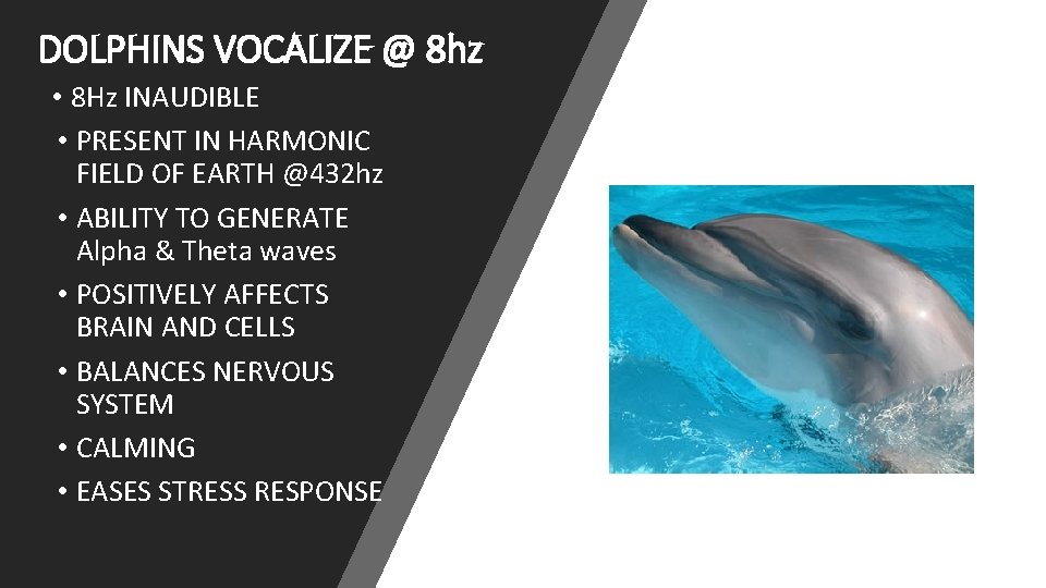 DOLPHINS VOCALIZE @ 8 hz • 8 Hz INAUDIBLE • PRESENT IN HARMONIC FIELD