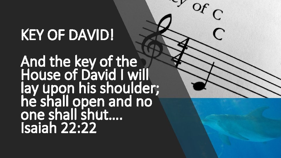 KEY OF DAVID! And the key of the House of David I will lay