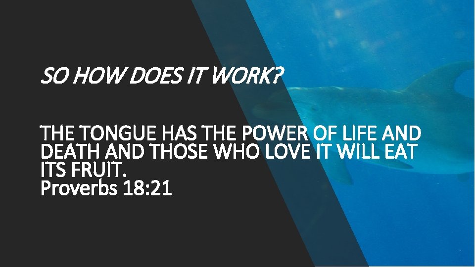 SO HOW DOES IT WORK? THE TONGUE HAS THE POWER OF LIFE AND DEATH