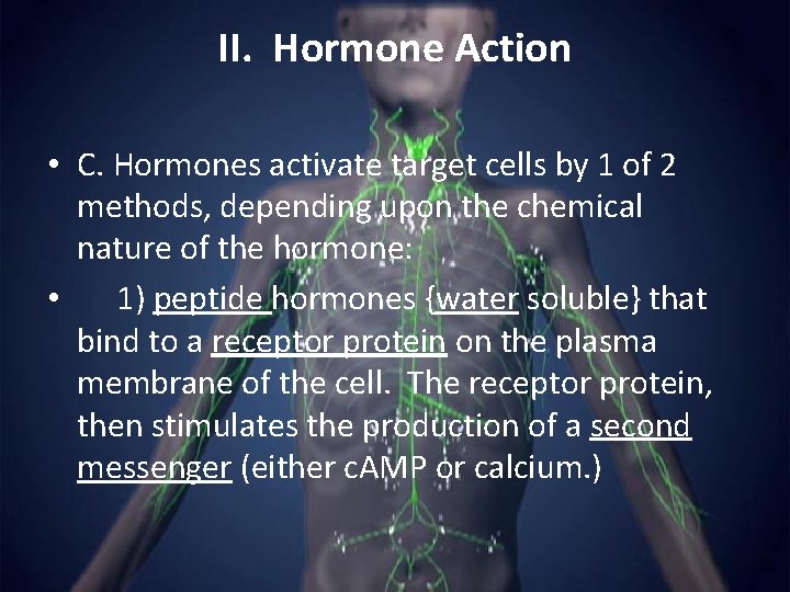 II. Hormone Action • C. Hormones activate target cells by 1 of 2 methods,