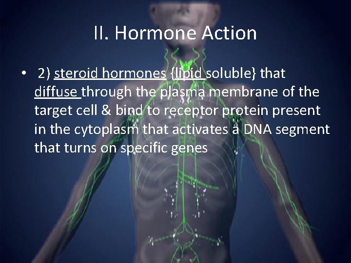 II. Hormone Action • 2) steroid hormones {lipid soluble} that diffuse through the plasma