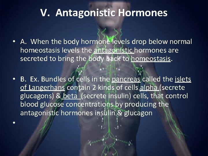 V. Antagonistic Hormones • A. When the body hormone levels drop below normal homeostasis