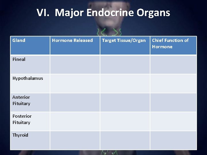 VI. Major Endocrine Organs Gland Pineal Hypothalamus Anterior Pituitary Posterior Pituitary Thyroid Hormone Released