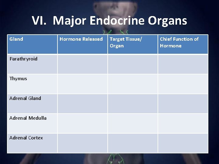 VI. Major Endocrine Organs Gland Parathryroid Thymus Adrenal Gland Adrenal Medulla Adrenal Cortex Hormone