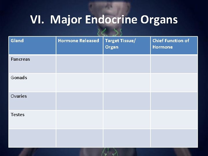 VI. Major Endocrine Organs Gland Pancreas Gonads Ovaries Testes Hormone Released Target Tissue/ Organ