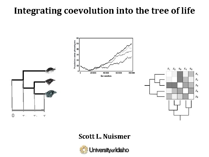 Integrating coevolution into the tree of life 0 Scott L. Nuismer 