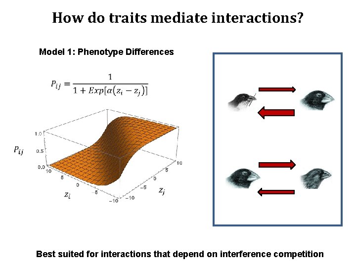 How do traits mediate interactions? Model 1: Phenotype Differences How do traits mediate interactions