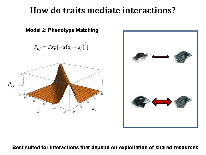 How do traits mediate interactions? Model 2: Phenotype Matching How do traits mediate interactions