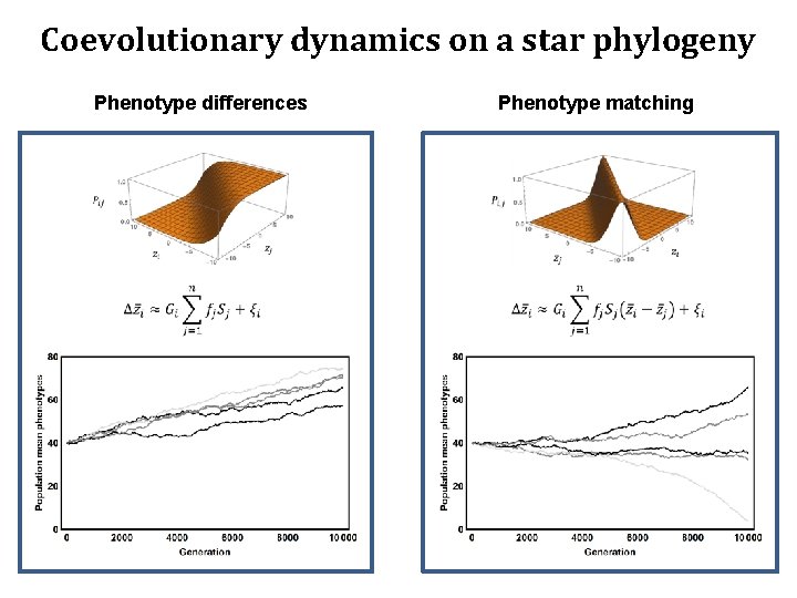 Coevolutionary dynamics on a star phylogeny Phenotype differences How do traits mediate interactions Phenotype