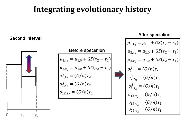 Integrating evolutionary history After speciation Second interval: Before speciation 0 