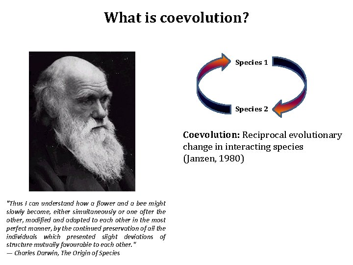 What is coevolution? Species 1 Species 2 Coevolution: Reciprocal evolutionary change in interacting species