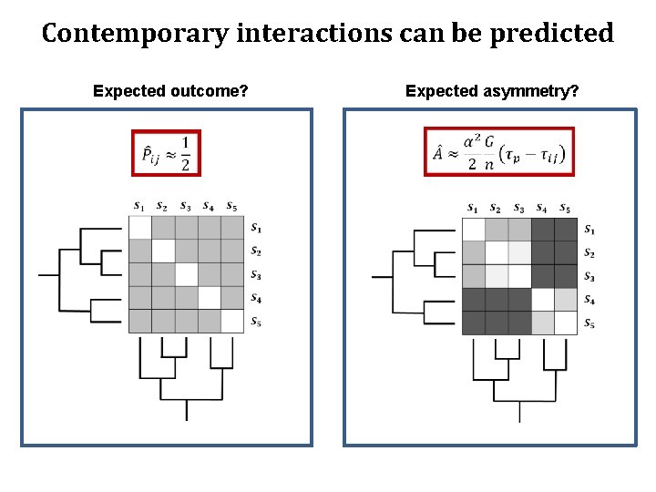 Contemporary interactions can be predicted Expected outcome? How do traits mediate interactions Expected asymmetry?