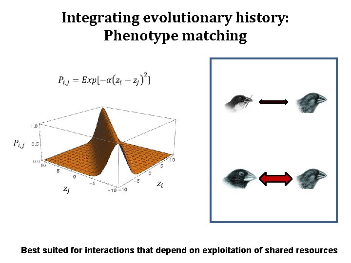 Integrating evolutionary history: Phenotype matching How do traits mediate interactions Best suited for interactions