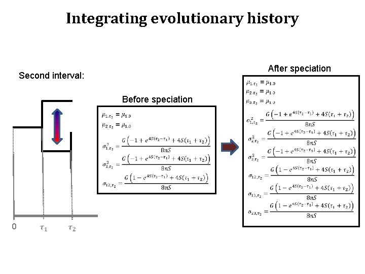 Integrating evolutionary history After speciation Second interval: Before speciation 0 