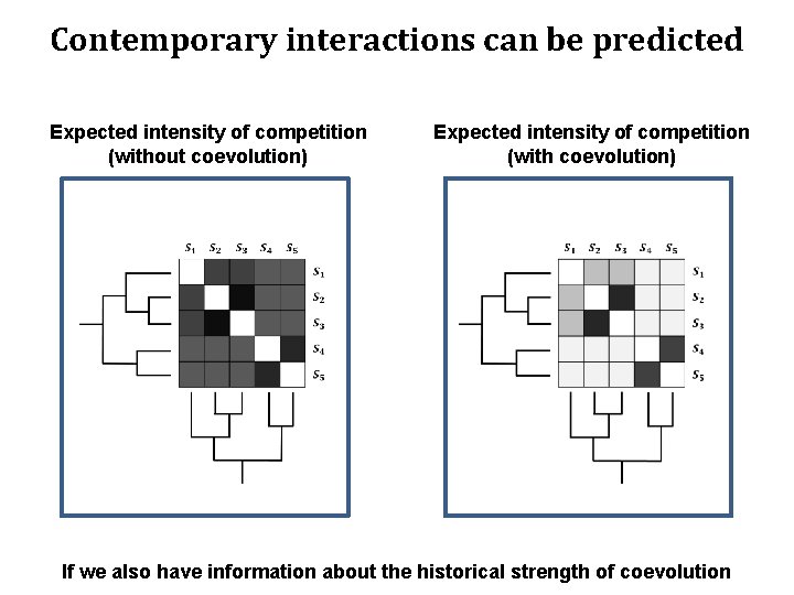 Contemporary interactions can be predicted Expected intensity of competition (without coevolution) Expected intensity of