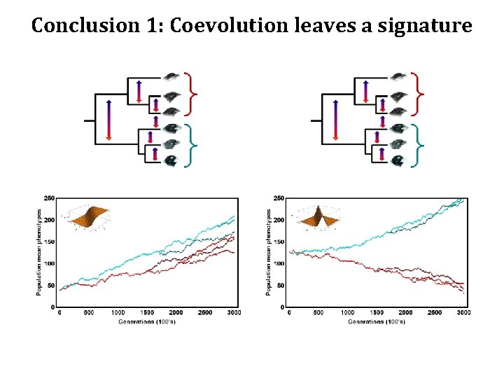 Conclusion 1: Coevolution leaves a signature 