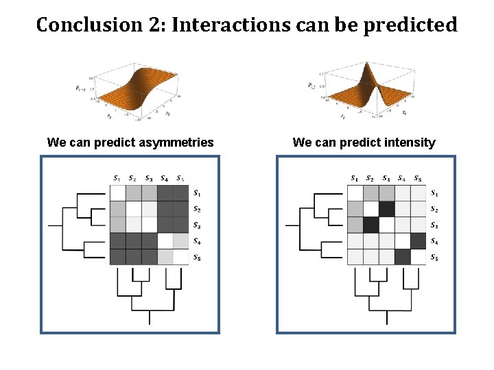 Conclusion 2: Interactions can be predicted We can predict asymmetries How do traits evolve?