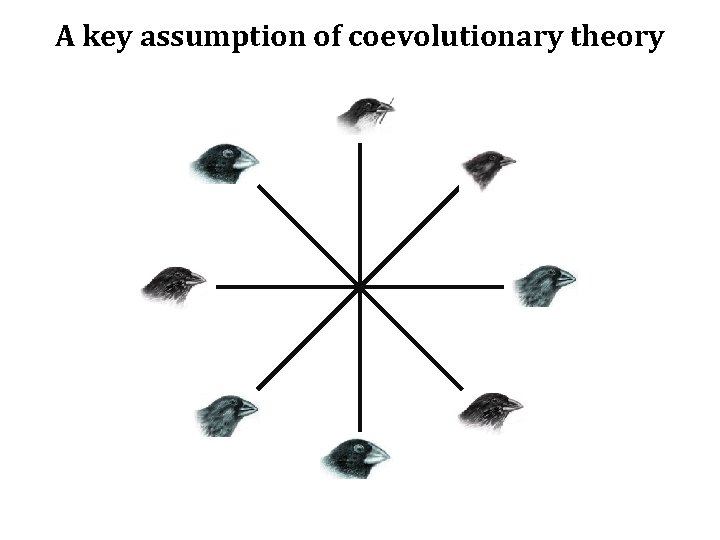 A key assumption of coevolutionary theory 