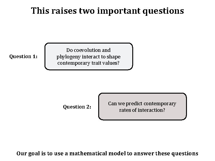 This raises two important questions Question 1: Do coevolution and phylogeny interact to shape