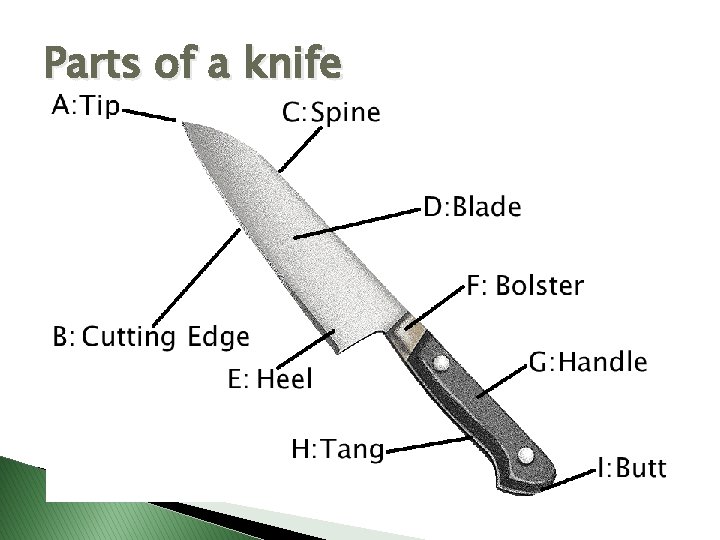 Parts of a knife 