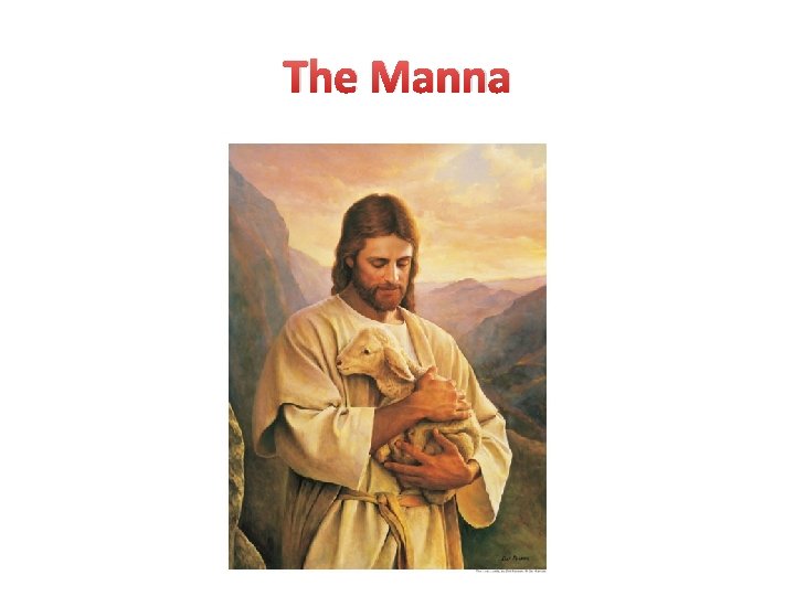 The Manna 