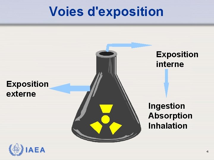 Voies d'exposition Exposition interne Exposition externe Ingestion Absorption Inhalation IAEA 4 