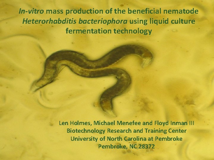 In-vitro mass production of the beneficial nematode Heterorhabditis bacteriophora using liquid culture fermentation technology