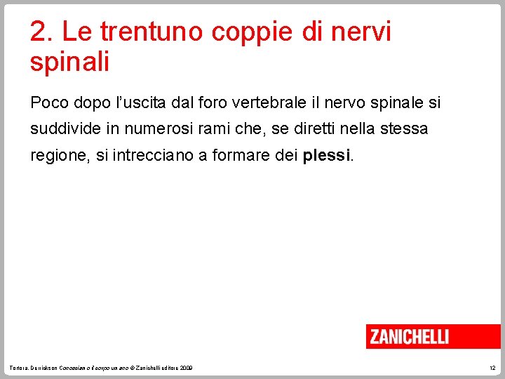 2. Le trentuno coppie di nervi spinali Poco dopo l’uscita dal foro vertebrale il