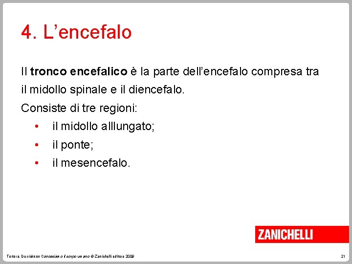 4. L’encefalo Il tronco encefalico è la parte dell’encefalo compresa tra il midollo spinale