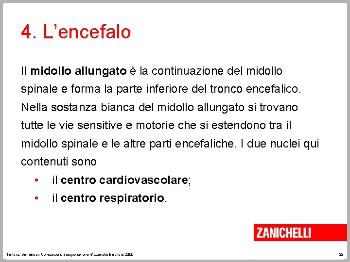 4. L’encefalo Il midollo allungato è la continuazione del midollo spinale e forma la