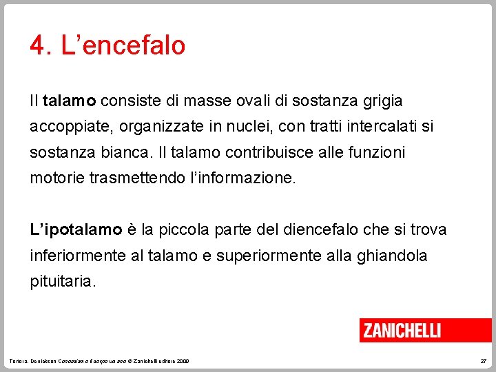4. L’encefalo Il talamo consiste di masse ovali di sostanza grigia accoppiate, organizzate in