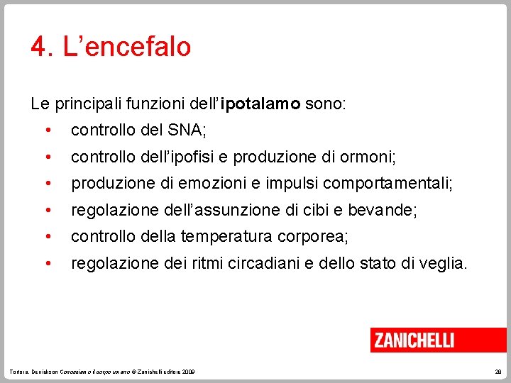 4. L’encefalo Le principali funzioni dell’ipotalamo sono: • controllo del SNA; • controllo dell’ipofisi